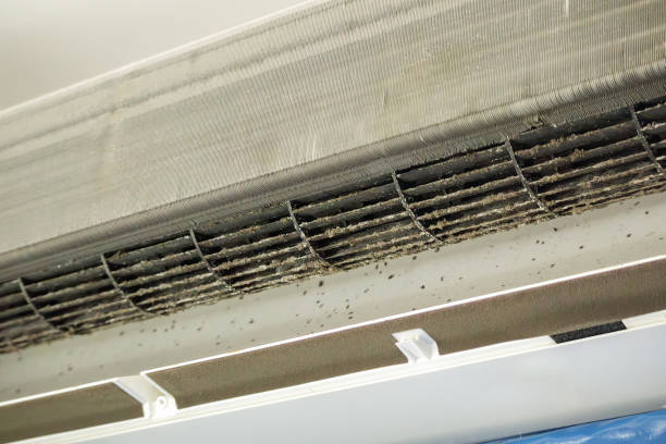 Best Air Duct Mold Removal  in Harrison, NJ